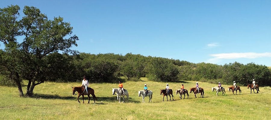 Group of riders inline on an open hillside