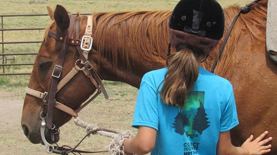 Horse calmed by younger rider