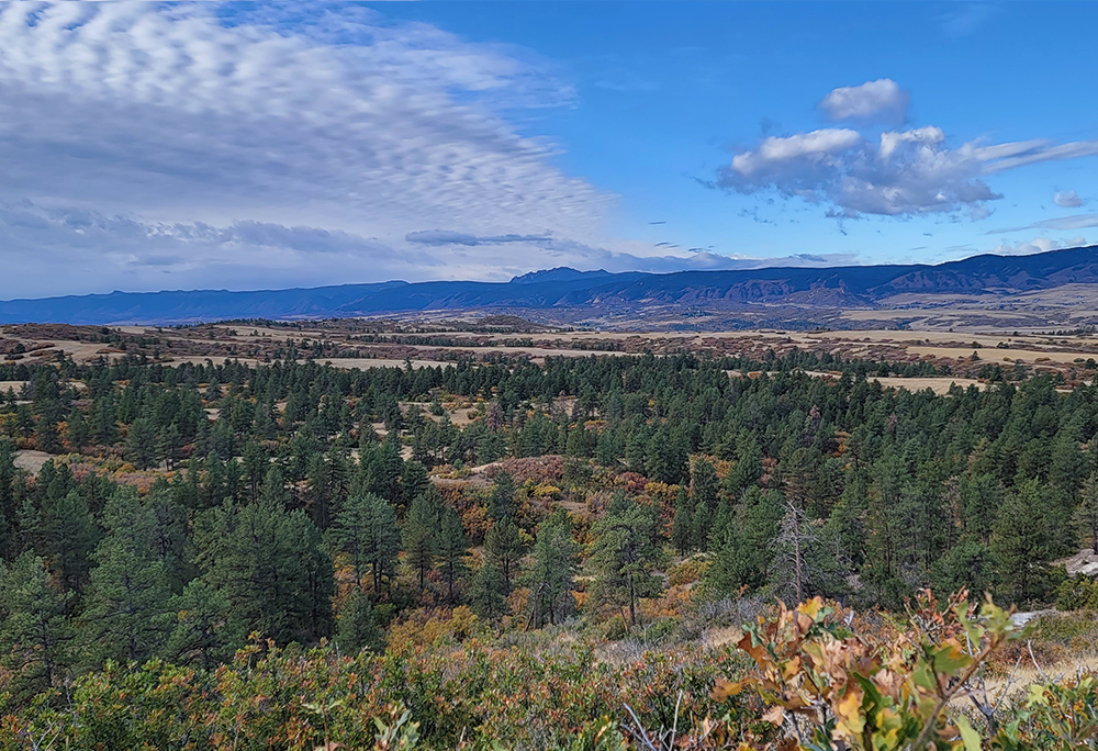 Expansive View of the Highlands Ranch Backcountry Wilderness Area