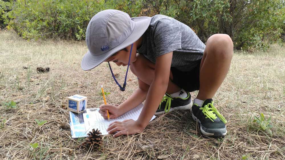 Child Taking Environmental Education Class